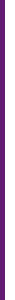 bfk_purple_bar_tall bfk_purple_bar_tall